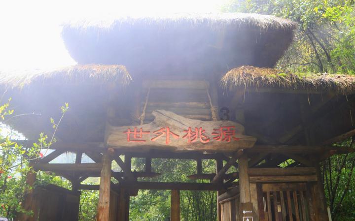 小叶医探丨近期安徽新冠病毒感染检测阳性率呈上升迹象