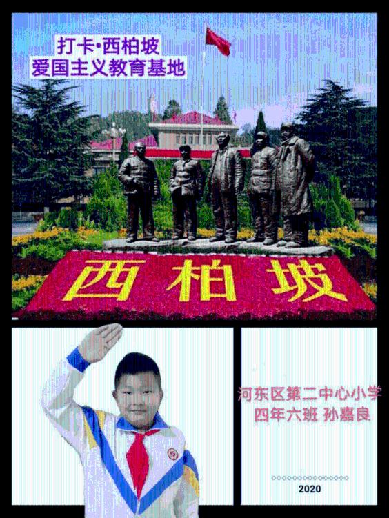 奥利维亚收养猫